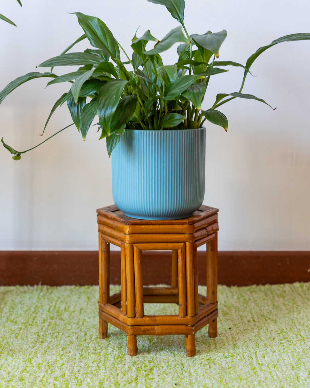 Vintage Hexagonal Cane Plant Stand