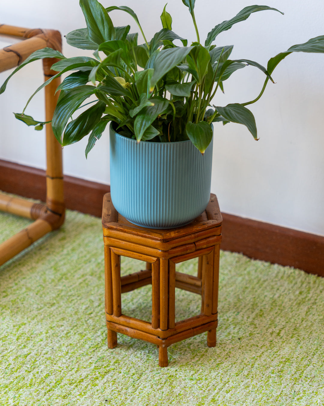 Vintage Hexagonal Cane Plant Stand