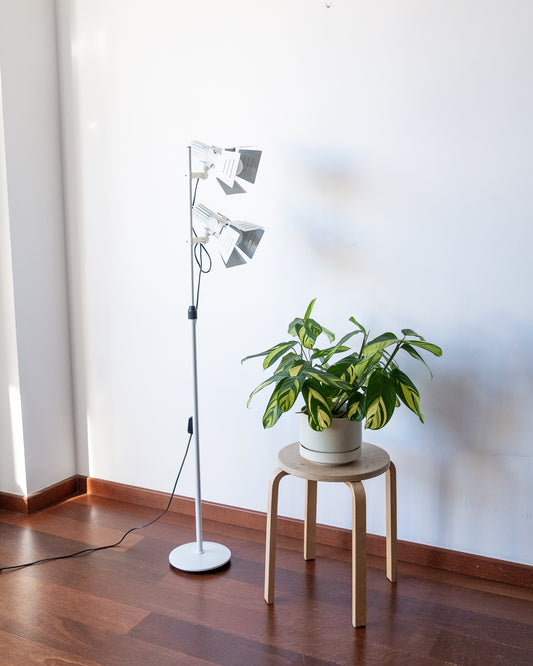 Fase Stage 1970s vintage floor lamp, white, adjustable height up to 1.50 m, excellent condition. Vecino Shop