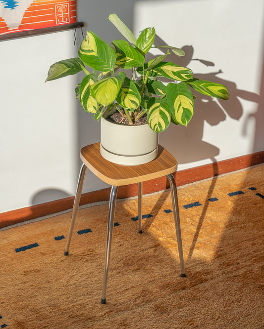 Vintage 1960s mid-century modern wooden laminate stool with shiny chrome legs, simple and elegant design – Vecino Shop.