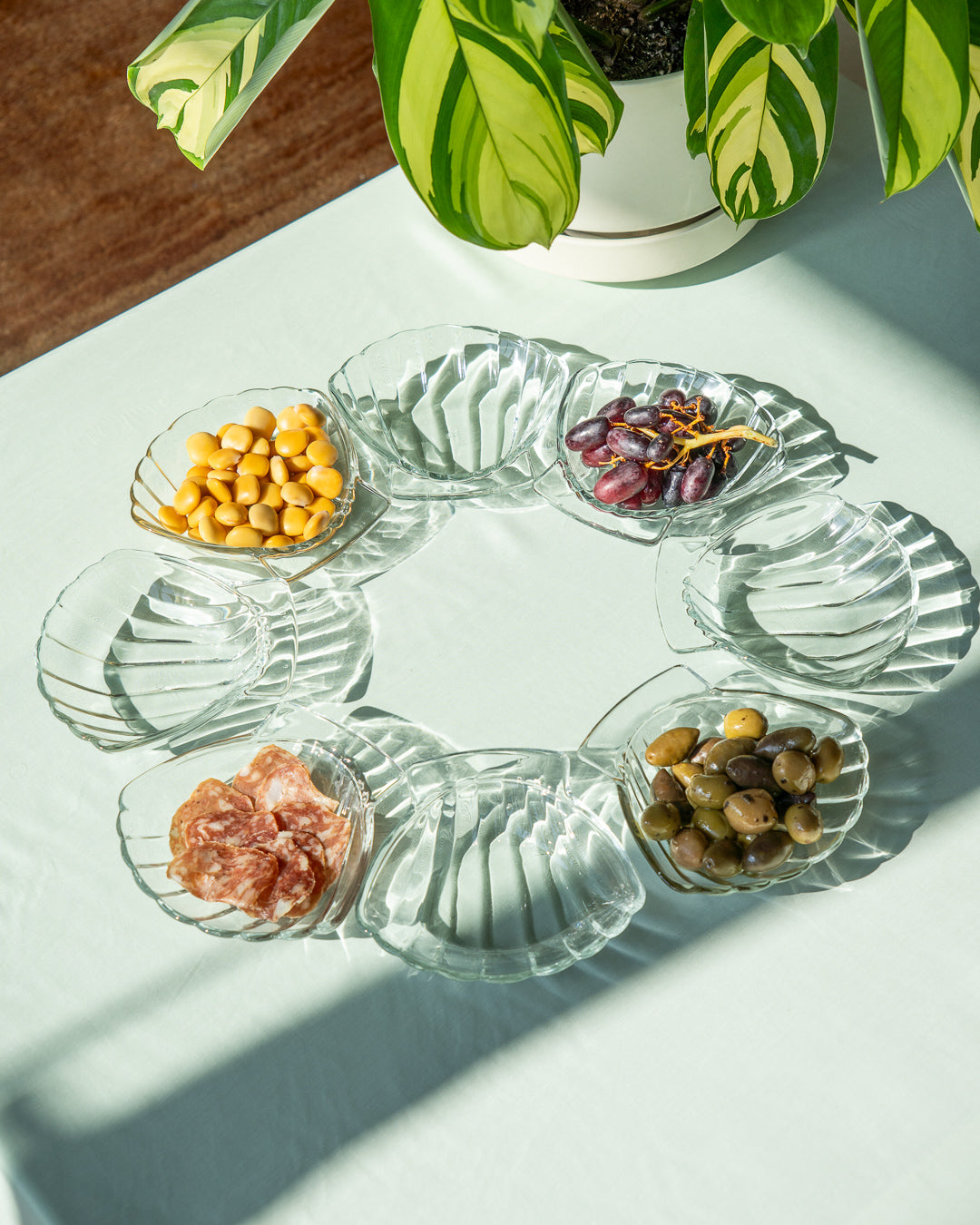 Vintage Sovirel glass shell plates set – made in France – Vecino Shop