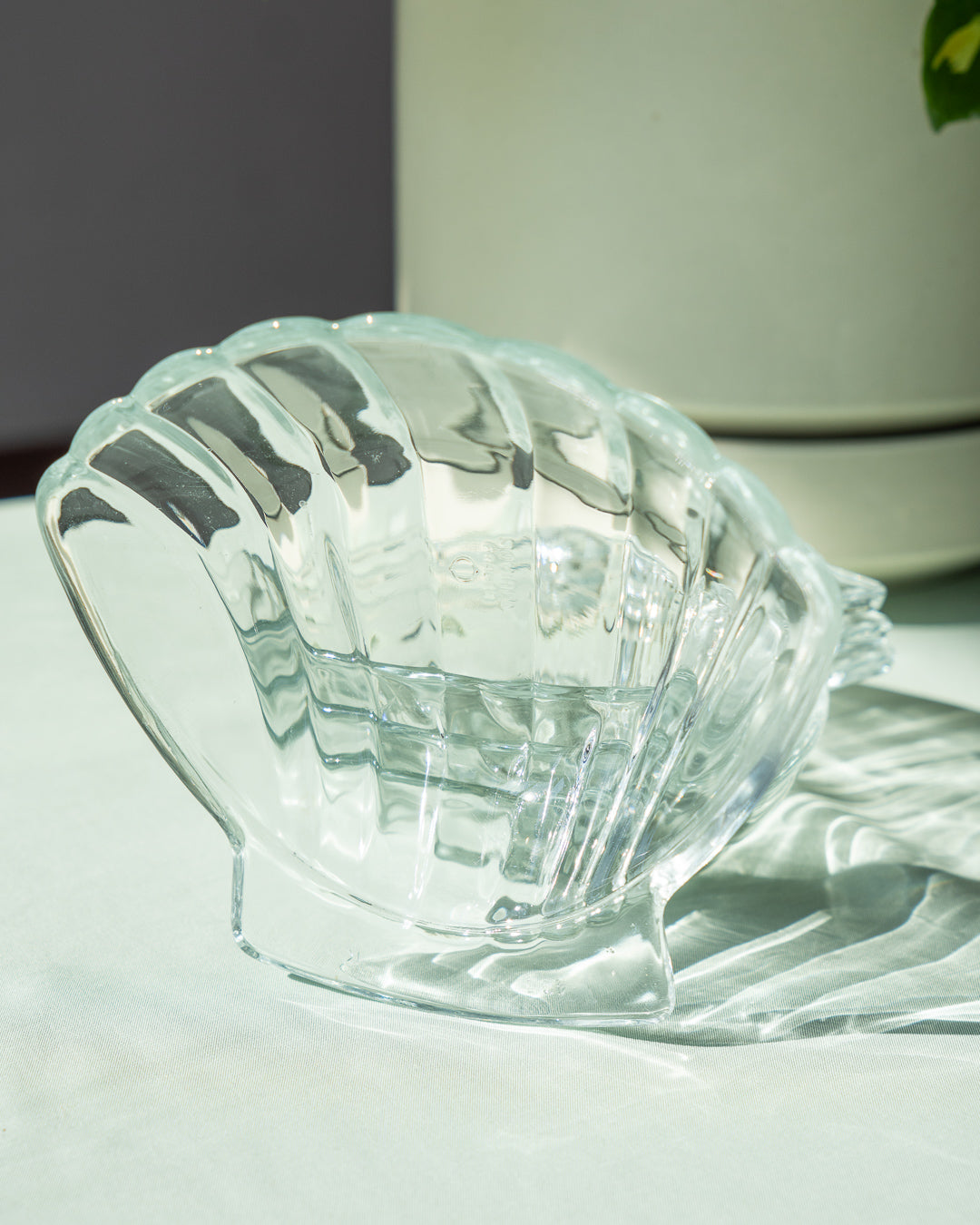 Vintage Sovirel glass shell plates set – made in France – Vecino Shop