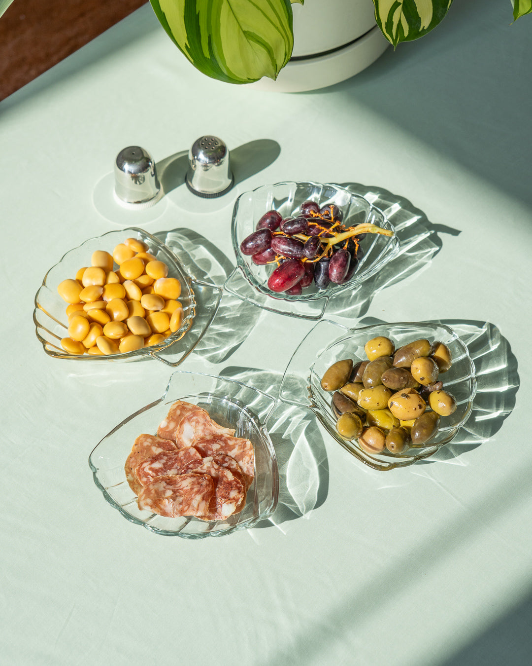 Vintage Sovirel glass shell plates set – made in France – Vecino Shop